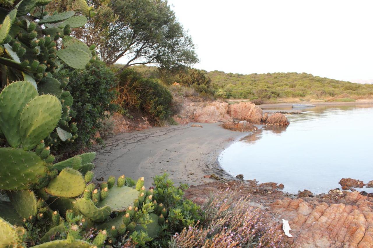 Case Al Mare Di Cala Saccaia Pittulongu Kültér fotó
